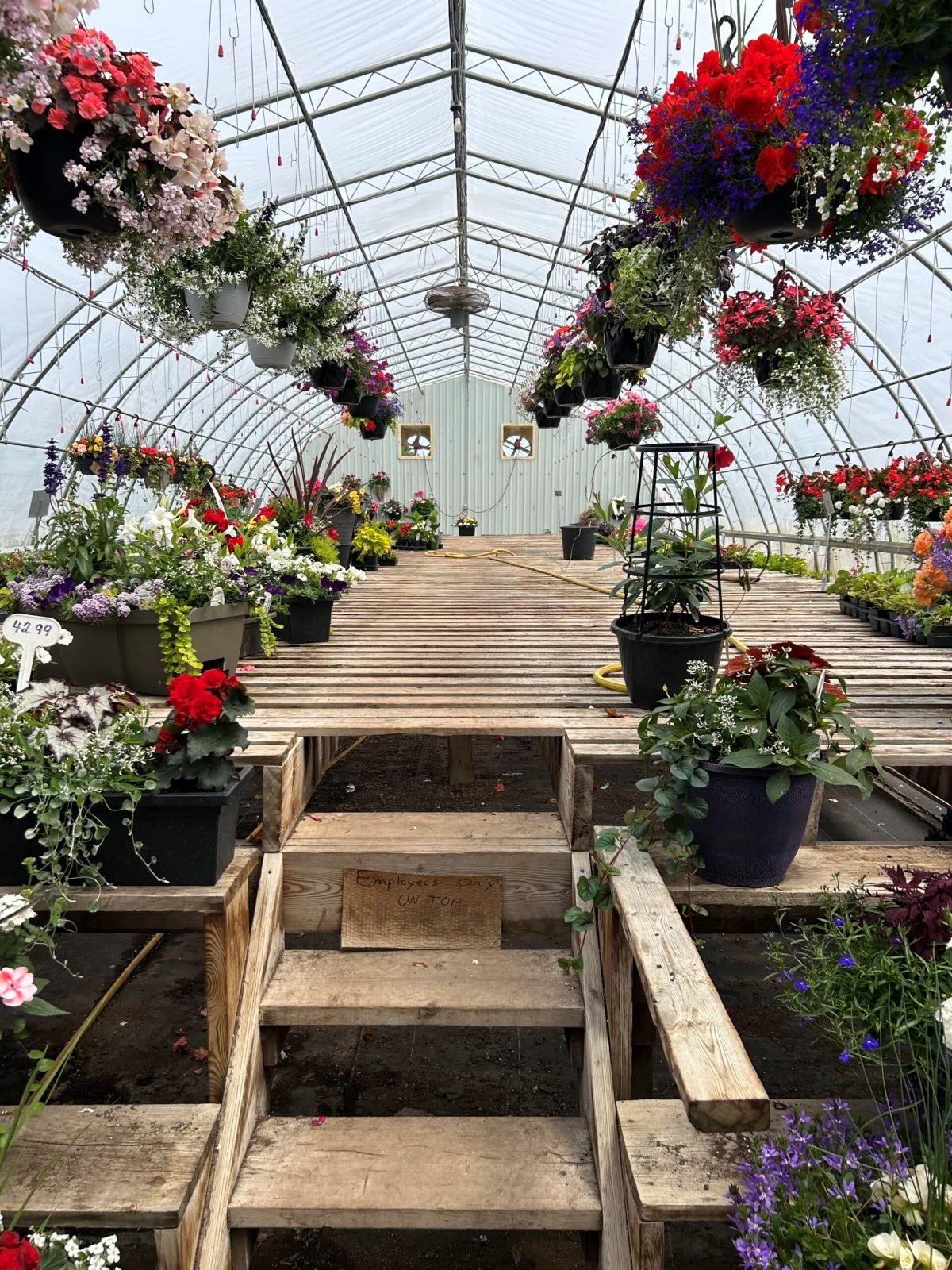 freestanding greenhouse