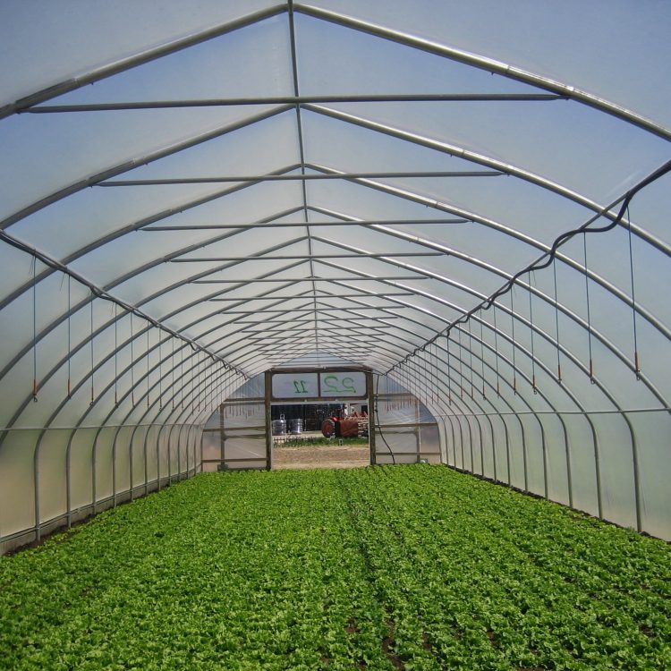 Omni Structures greenhouse coverings