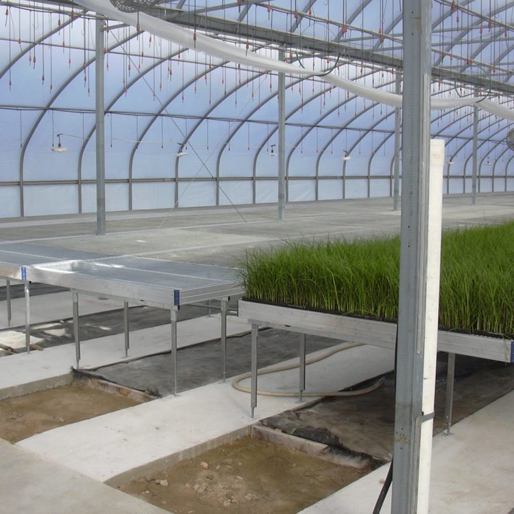 bench for commercial greenhouse