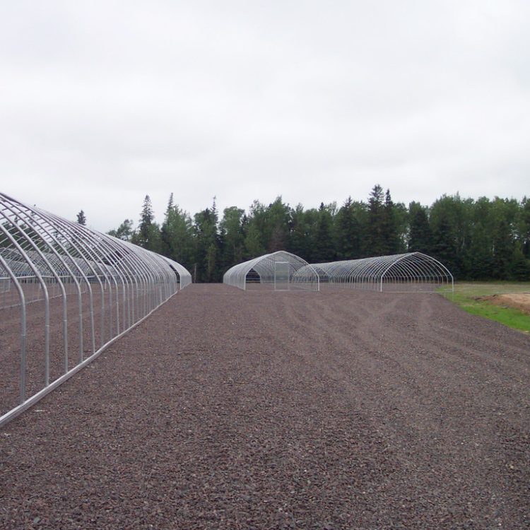 Freestanding Commercial Greenhouses Canada