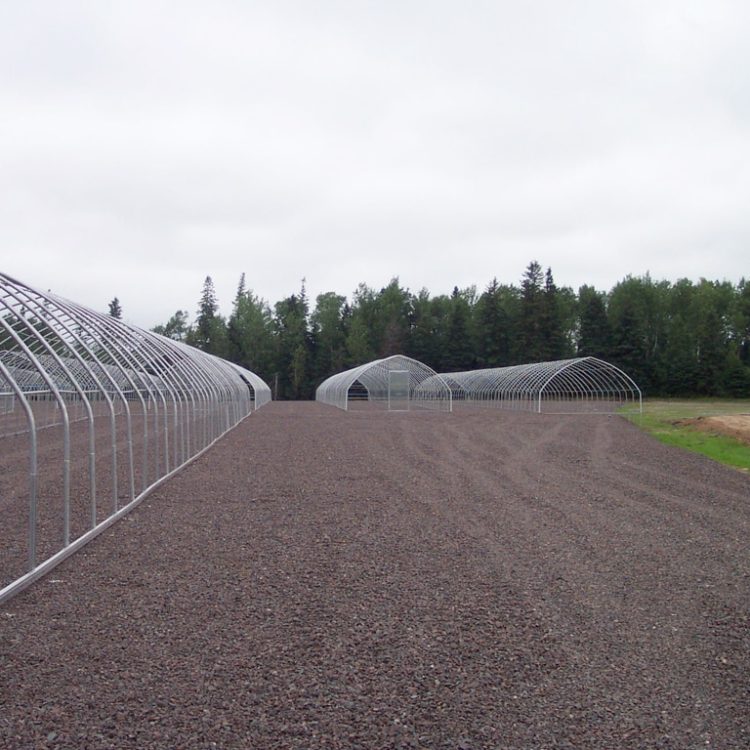 Freestanding Commercial Greenhouses Canada