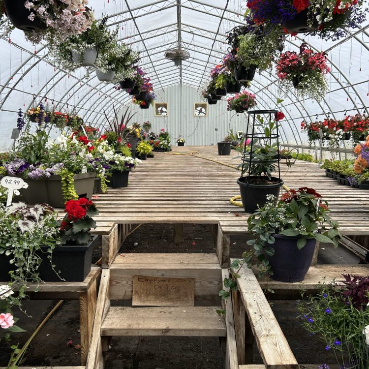 freestanding commercial greenhouse