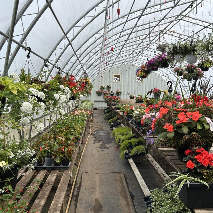 Freestanding Greenhouses