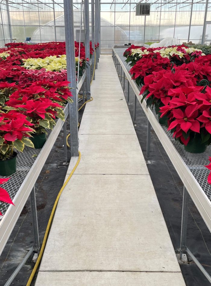 benches-greenhouses
